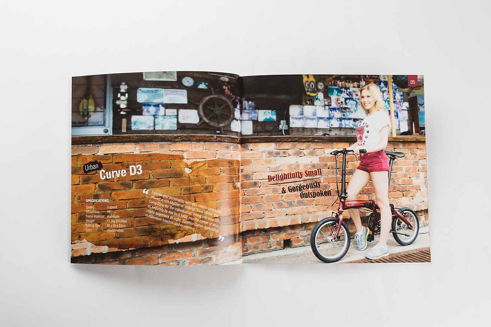 dahon_catalogue_design_1_1310x872