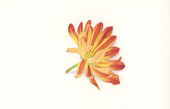 autumnal_composite_3.jpeg