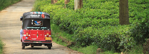 tuk-tuk-3787496_edited.jpg