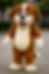 cachorro