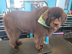 490501070_1463104618353221_4556083657403824499_n