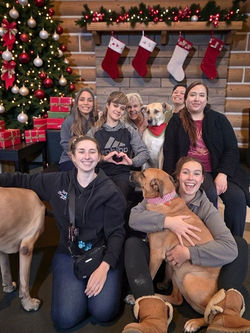 602382899_1686164329380581_5509437297091467172_n