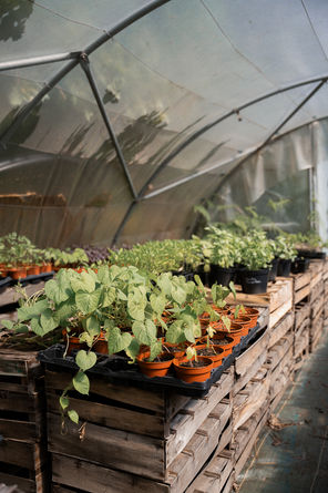 Reportage photo sur le Jardin Gourmand, artisans à Gujan-Mestras-07