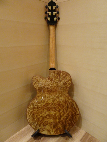 Oracle of Guitars モデル Semi Line
