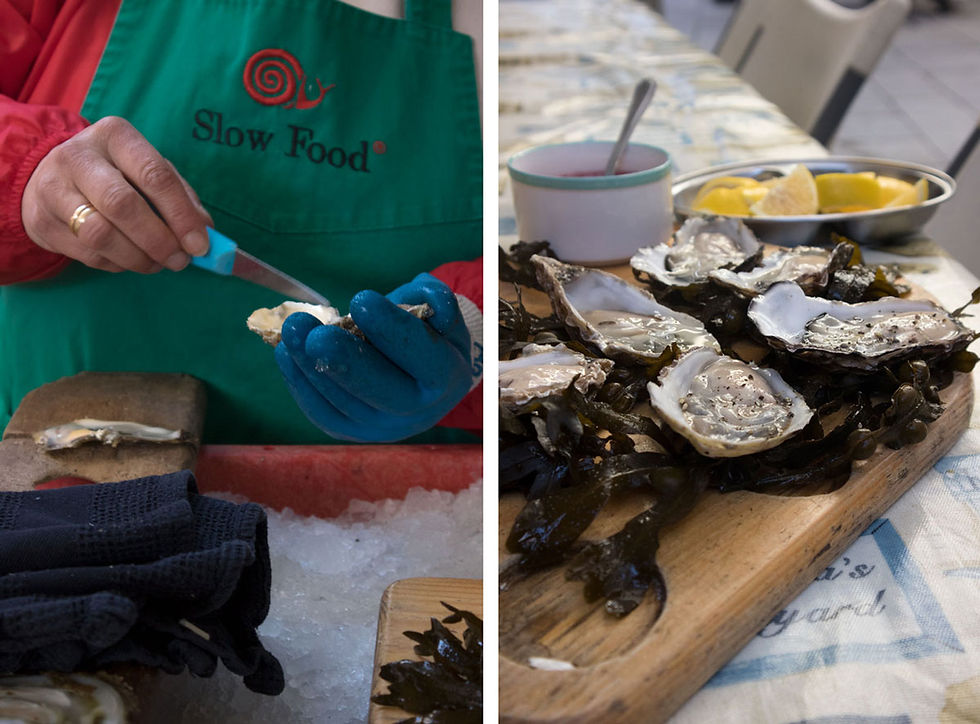 Temple Bar Food Market | Dublin City Travel Guide