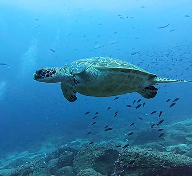 Screenshot 2025-07-05 at 6.59_edited.jpg