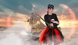 D80_7125 copy_resize