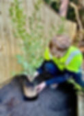 tree work Poole