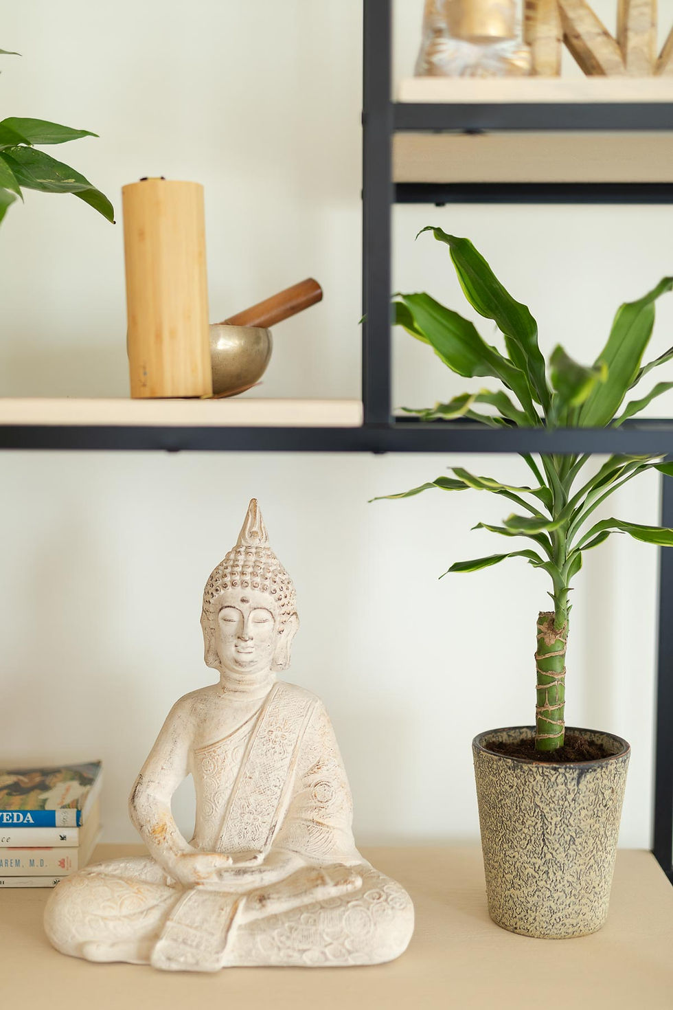 Serenity Hub Library