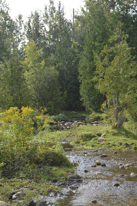 DSC_0013.JPG