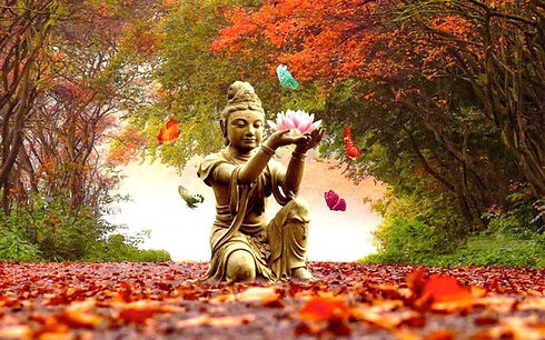 fall-yoga.jpg