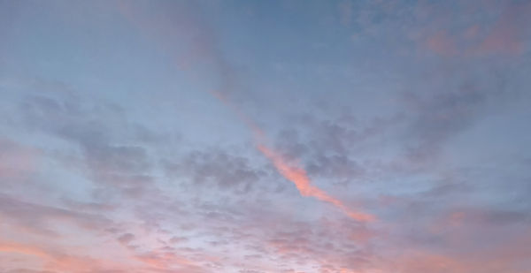 IMG_20200114_075646 PER PL.jpg