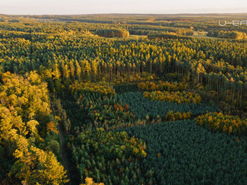 From Grey to Green: The Rise of Nature-based air quality solutions