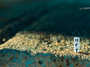 Revolutionizing sustainability: the role of tokenization in natural resource management