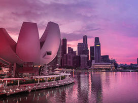 ما سر نجاح سنغافورة