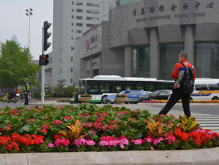 中国は公共花バブル？