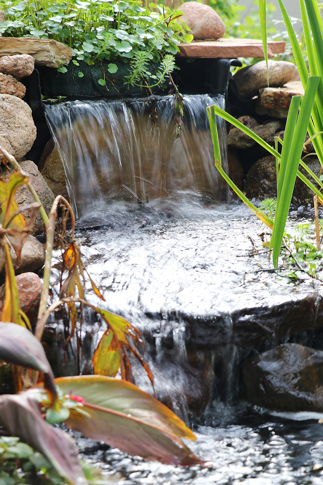 How to Maintain Your Water Feature