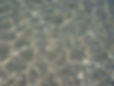 DSC03382.JPG
