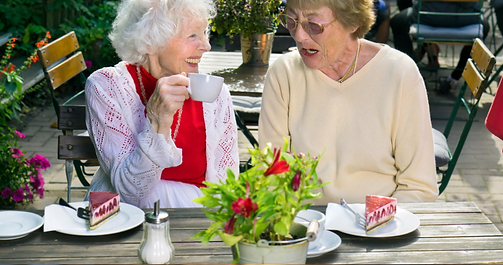 Copia de Puembo Plan de Jubilados en ingles.png