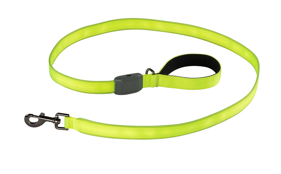 Μικρογραφία: NiteDog Rechargeable LED Leash Lime Green