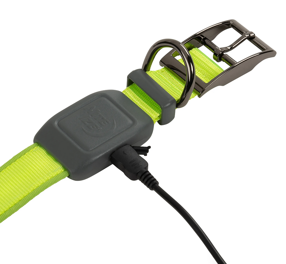 Thumbnail: NiteDog Rechargeable LED Collar Large Lime Green