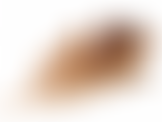 Qué puedes encontrar en esta página?