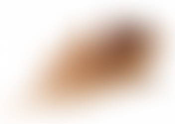 Qué puedes encontrar en esta página?