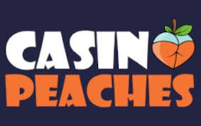 https://casinopeaches-nl.nl/