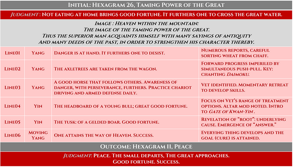 CATSCAN OUTCOME HEXAGRAM INDIVIDUAL LINES.png