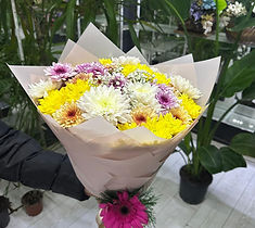 Soma Çiçekçi Mimoza, Soma Mimoza Çiçekçilik, Mimoza Çiçekçilik Soma, Çiçekçi Mimoza, Soma Çiçek, Soma Mimoza Çiçek Sanatı, Mutluluğunuzu Çiçeklendirelim, soma çiçek, soma çiçekçi mimoza, soma mimoza çiçekçilik, soma mimoza çiçek sanatı, mutluluğunuzu çiçeklendirelim, Soma Organizasyon, soma organizasyon, soma hediyelik, soma zerafet, Soma Hediyelik, Soma Zerafet, Soma Araba Süsleme, soma araba süsleme, soma özel organizasyon, Soma Özel Organizasyon, Soma Mevsim Buketi, soma mevsim buketi