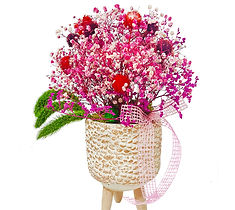 Soma Çiçekçi Mimoza, Soma Mimoza Çiçekçilik, Mimoza Çiçekçilik Soma, Çiçekçi Mimoza, Soma Çiçek, Soma Mimoza Çiçek Sanatı, Mutluluğunuzu Çiçeklendirelim, soma çiçek, soma çiçekçi mimoza, soma mimoza çiçekçilik, soma mimoza çiçek sanatı, mutluluğunuzu çiçeklendirelim, Soma Organizasyon, soma organizasyon, soma hediyelik, soma zerafet, Soma Hediyelik, Soma Zerafet, 