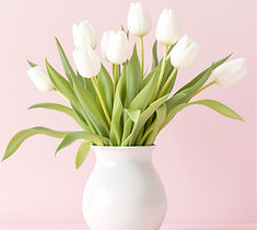 Soma Çiçekçi Mimoza, Soma Mimoza Çiçekçilik, Mimoza Çiçekçilik Soma, Çiçekçi Mimoza, Soma Çiçek, Soma Mimoza Çiçek Sanatı, Mutluluğunuzu Çiçeklendirelim, soma çiçek, soma çiçekçi mimoza, soma mimoza çiçekçilik, soma mimoza çiçek sanatı, mutluluğunuzu çiçeklendirelim, Soma Organizasyon, soma organizasyon, soma hediyelik, soma zerafet, Soma Hediyelik, Soma Zerafet, Saksı Çiçeği, saksi çiçeği, SAKSI, yapay çiçek, yapay saksi cicegi