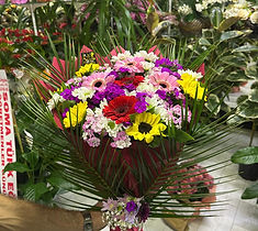 Soma Çiçekçi Mimoza, Soma Mimoza Çiçekçilik, Mimoza Çiçekçilik Soma, Çiçekçi Mimoza, Soma Çiçek, Soma Mimoza Çiçek Sanatı, Mutluluğunuzu Çiçeklendirelim, soma çiçek, soma çiçekçi mimoza, soma mimoza çiçekçilik, soma mimoza çiçek sanatı, mutluluğunuzu çiçeklendirelim, Soma Organizasyon, soma organizasyon, soma hediyelik, soma zerafet, Soma Hediyelik, Soma Zerafet, Soma Araba Süsleme, soma araba süsleme, soma özel organizasyon, Soma Özel Organizasyon, Soma Mevsim Buketi, soma mevsim buketi