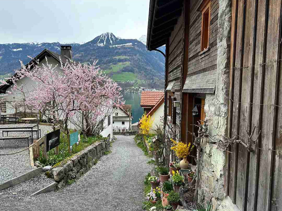 Quinten in Frühling