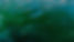photo-bassin-spiruline-petite-1 (1)_edited_edited.jpg