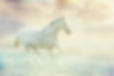wildhorse_edited.jpg