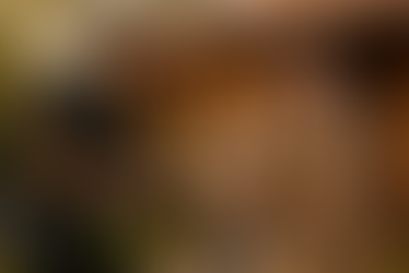 kinesiologo a domicilio con paciente geriatrico