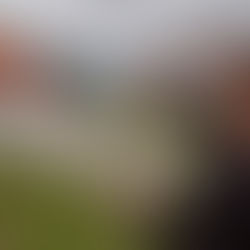 With exception, Bonavista