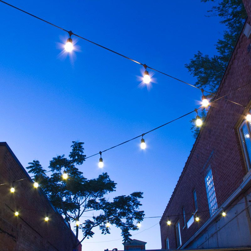 Thumbnail: Bistro Lighting Wire with 24 Sockets (50ft)