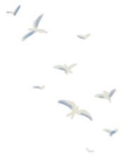 birds.PNG