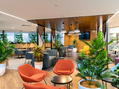 PDT.RED has a fresh new look.