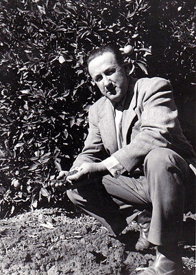 Dorothy Farthing 1931.jpg