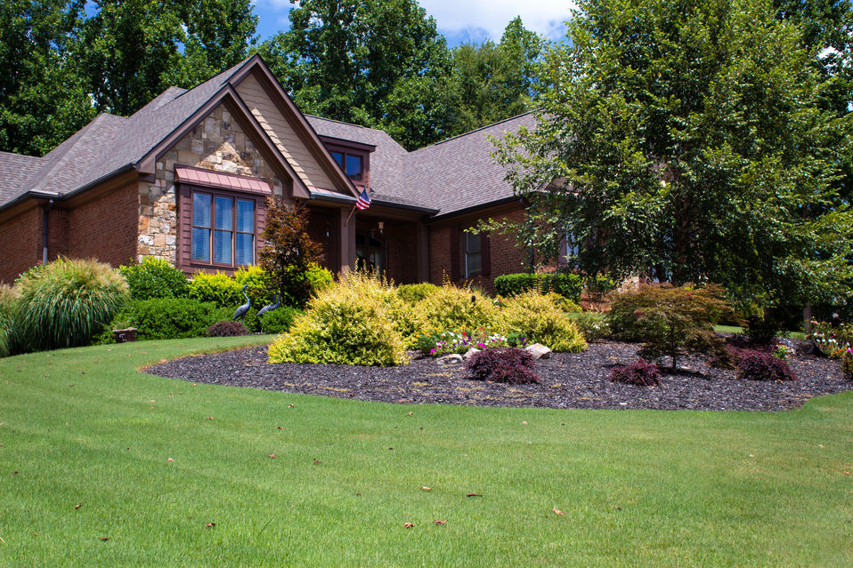 Front Yard (0409).jpg