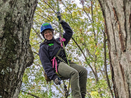 Rooted in Passion: Meet Lake Forest’s New City Forester