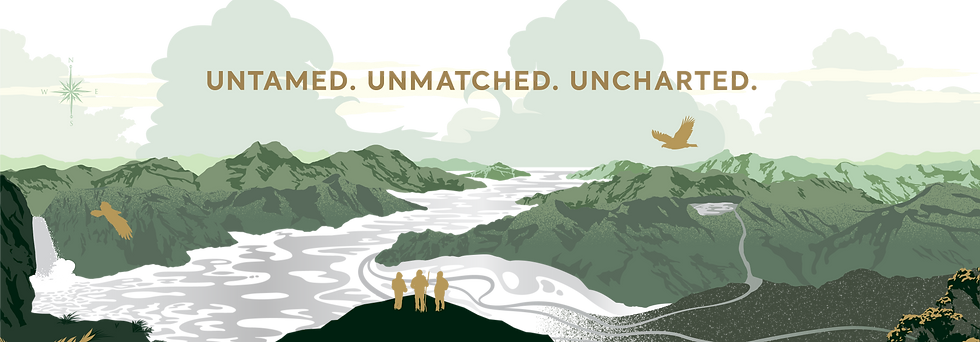 Digital Images for Web Launch - Uncharte