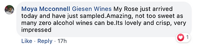 0% Rosé Feedback Screen Shot 2021-07-22 at 10.23.23 AM.png
