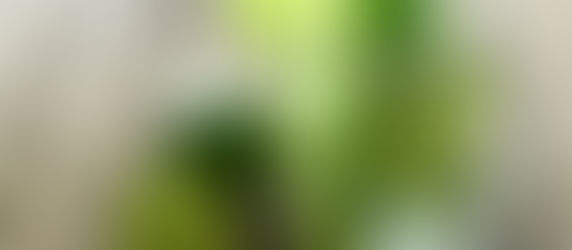 Vem ai um fim de semana de excessos. E depois?