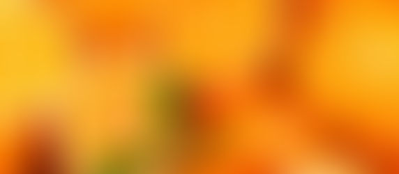 Laranja: um fruto que faz (mesmo) bem à saúde