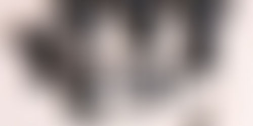 5 dicas de fotografia para iniciantes