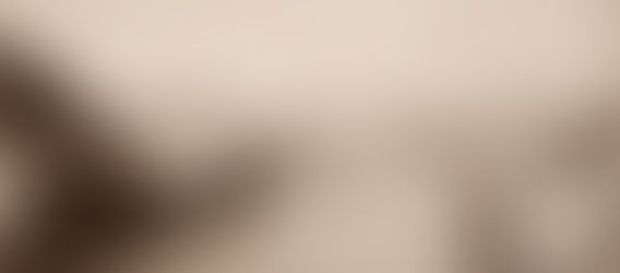 Fotografia - A chegada a Portugal